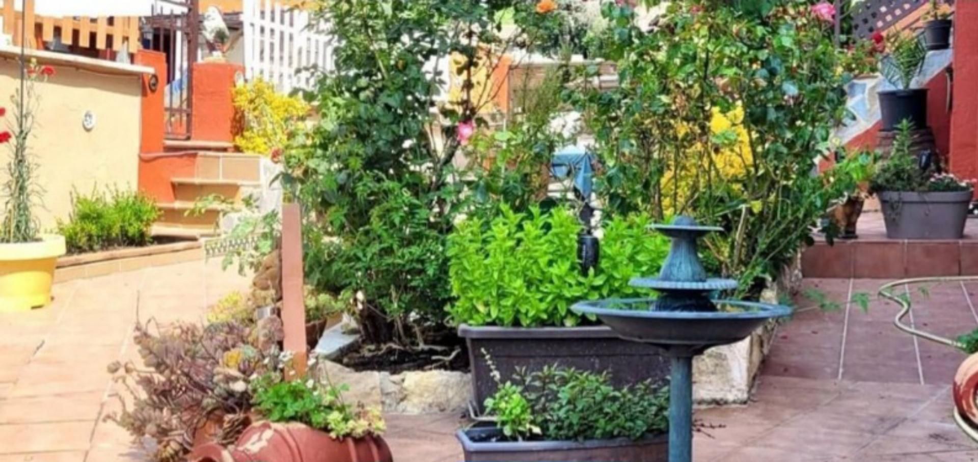 Jardí de Casa o xalet en venda en Pontons amb Jardí privat, Terrassa i Piscina