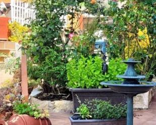 Jardí de Casa o xalet en venda en Pontons amb Terrassa, Piscina i Balcó