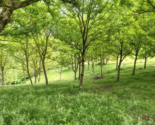 Exterior view of Non-constructible Land for sale in Gaintza