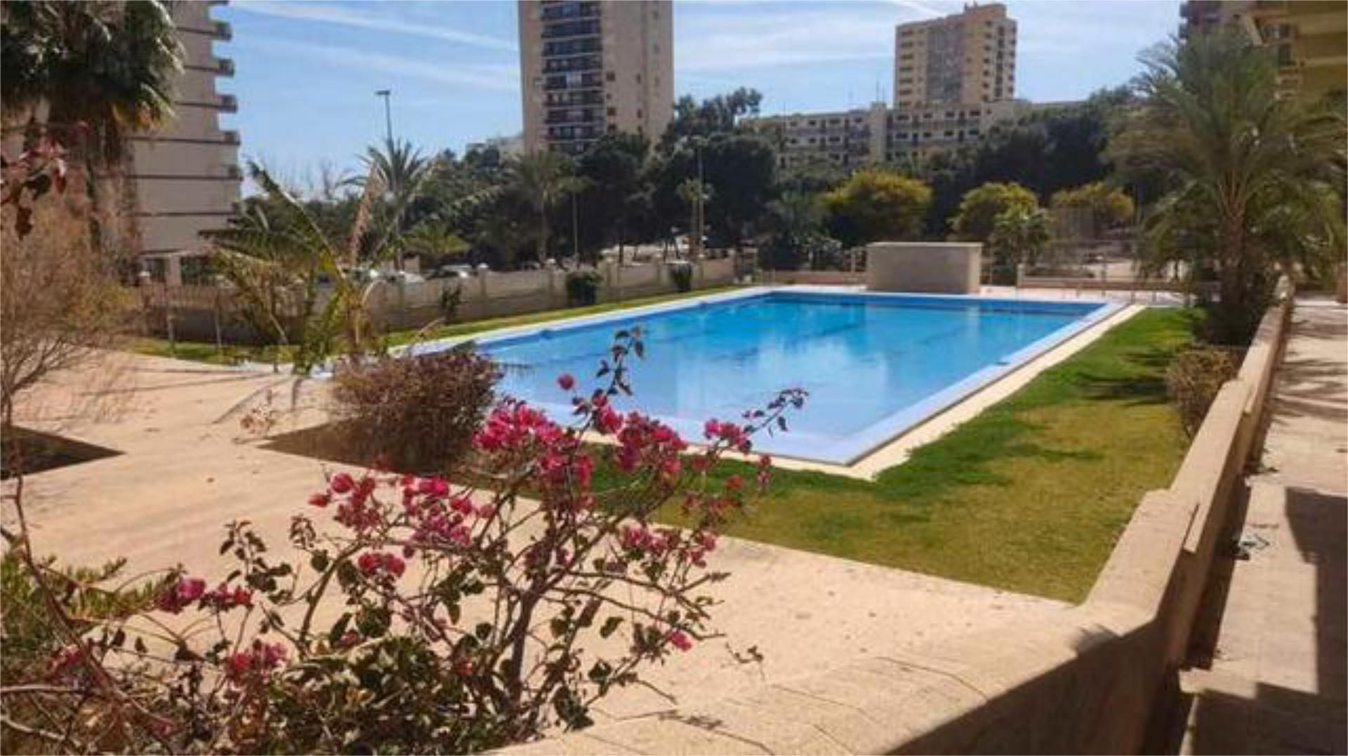 Swimming pool of Flat for sale in Roquetas de Mar  with Private garden, Terrace and Swimming Pool