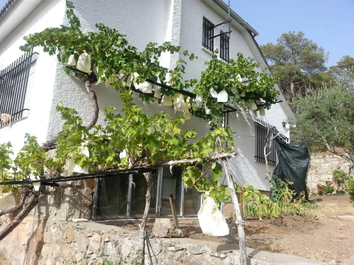 Casa o chalet en venta en Robledo de Chavela Jardín de Casa o chalet en venta en Robledo de Chavela con Terraza, Piscina y Balcón