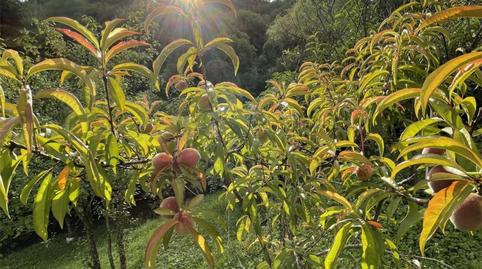Non-constructible Land for sale in Alcalde J. Elosegi Hiribidea, 100, Miracruz, Gipuzkoa - image 3 Photo 3 of Non-constructible Land for sale in Alcalde J. Elosegi Hiribidea, 100, Miracruz, Gipuzkoa