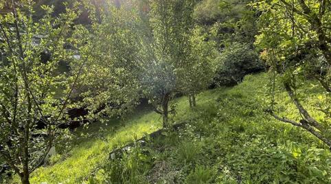 Non-constructible Land for sale in Alcalde J. Elosegi Hiribidea, 100, Miracruz, Gipuzkoa - image 4 Photo 4 of Non-constructible Land for sale in Alcalde J. Elosegi Hiribidea, 100, Miracruz, Gipuzkoa