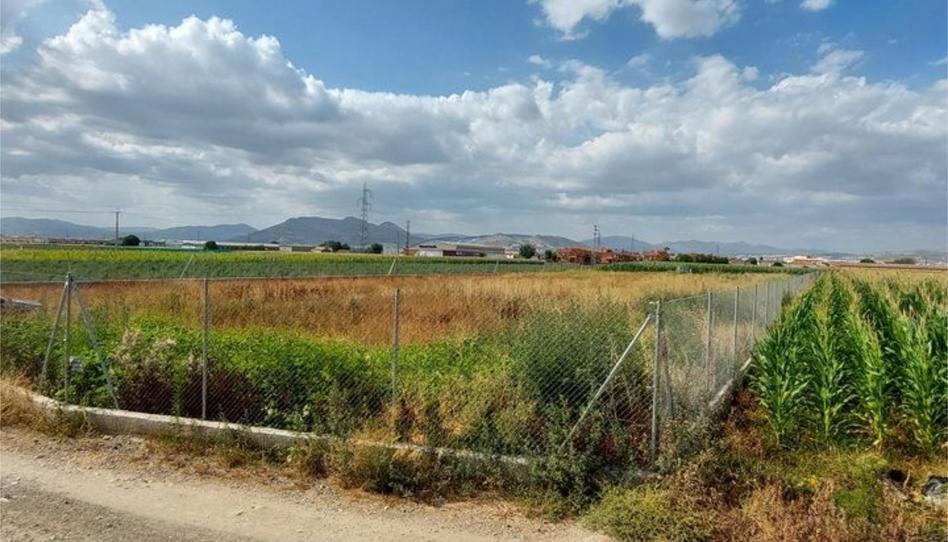 Non-constructible Land for sale in Urbanización la Romana, 17, Ambroz, Granada - image 1 Photo 1 of Non-constructible Land for sale in Urbanización la Romana, 17, Ambroz, Granada