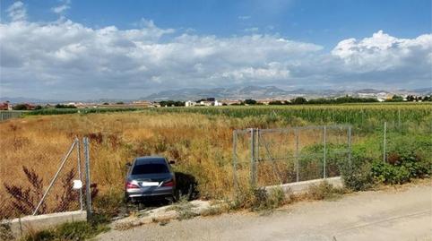 Non-constructible Land for sale in Urbanización la Romana, 17, Ambroz, Granada - image 5 Photo 5 of Non-constructible Land for sale in Urbanización la Romana, 17, Ambroz, Granada
