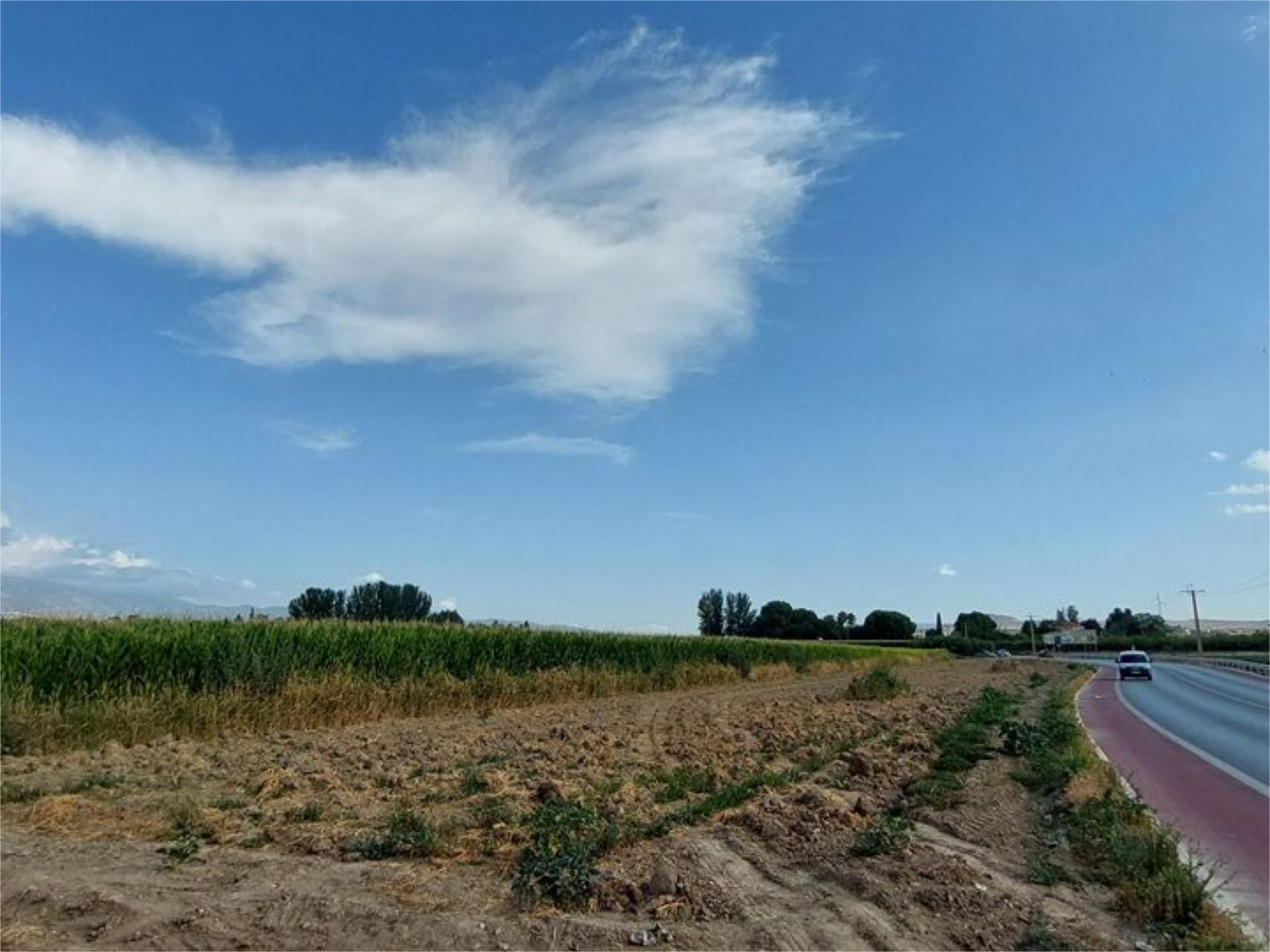 Non-constructible Land for sale in Vegas del Genil