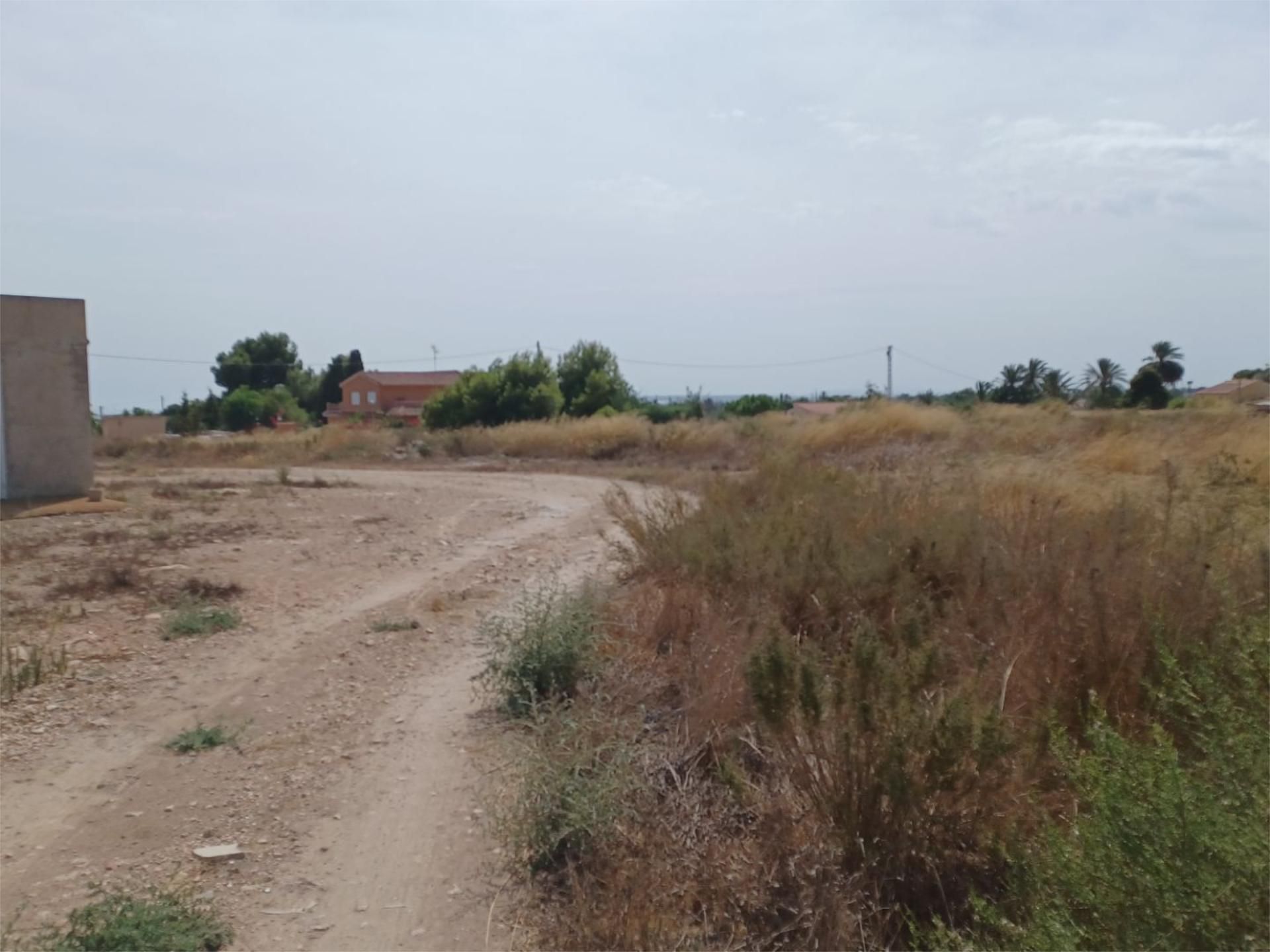 Constructible Land for sale in Elche / Elx