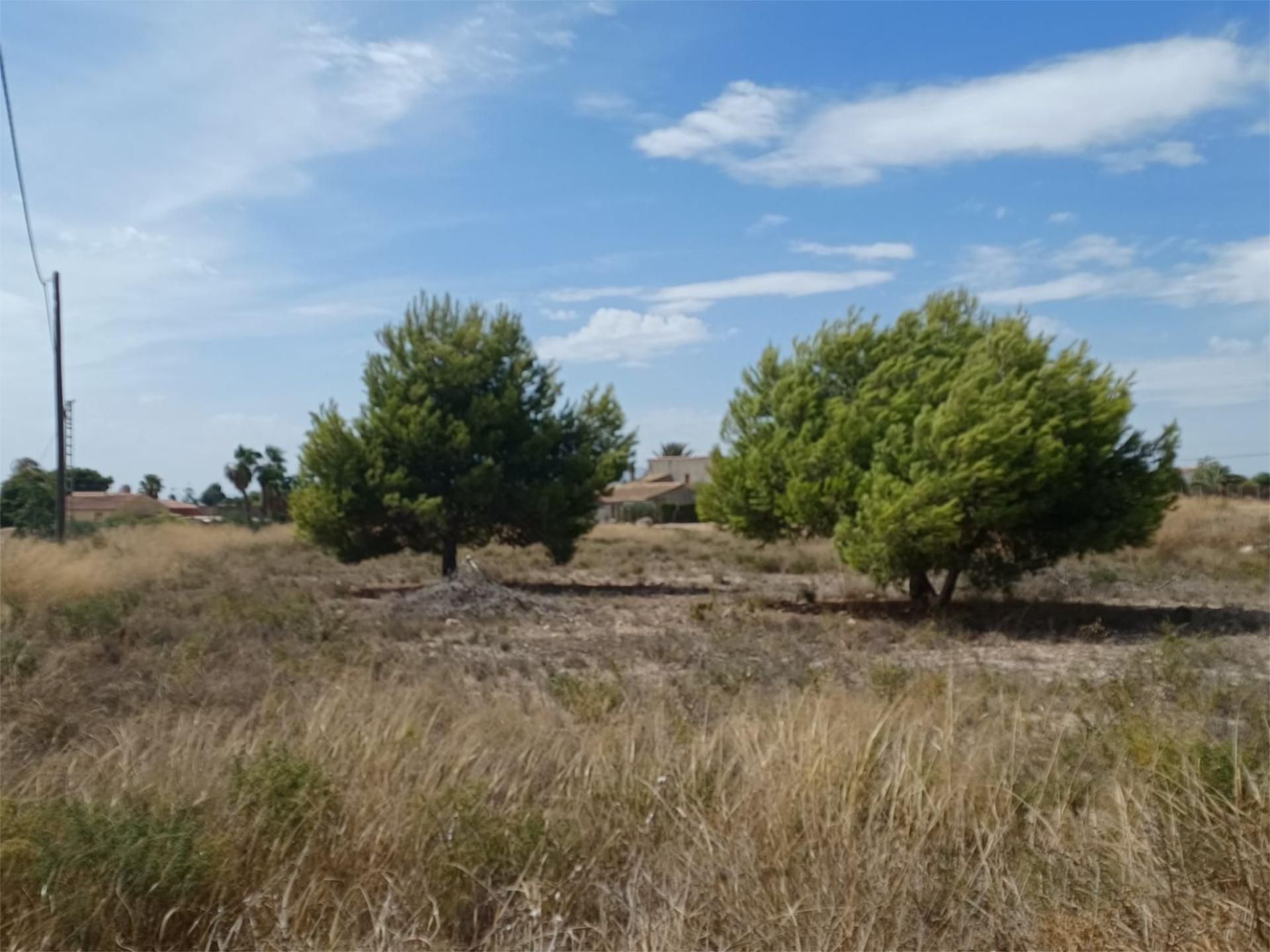 Urbanitzable en venda en Elche / Elx