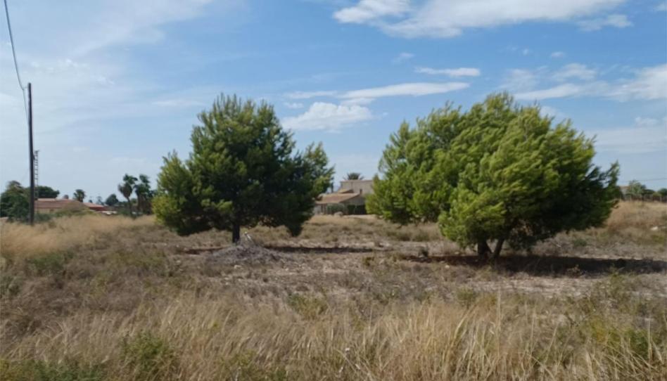 Foto 1 de Urbanitzable en venda a Partida Valverde Bajo, 8007, Valverde, Alicante