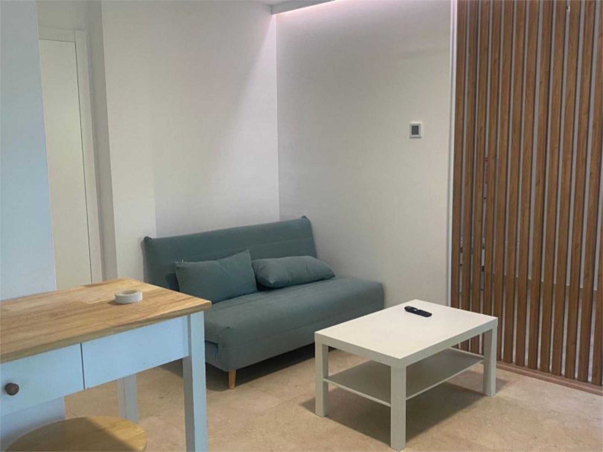 Sala d'estar de Estudi de lloguer en Villanueva de la Cañada amb Aire condicionat, Calefacció i Moblat