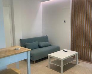 Sala d'estar de Estudi de lloguer en Villanueva de la Cañada amb Aire condicionat, Calefacció i Moblat