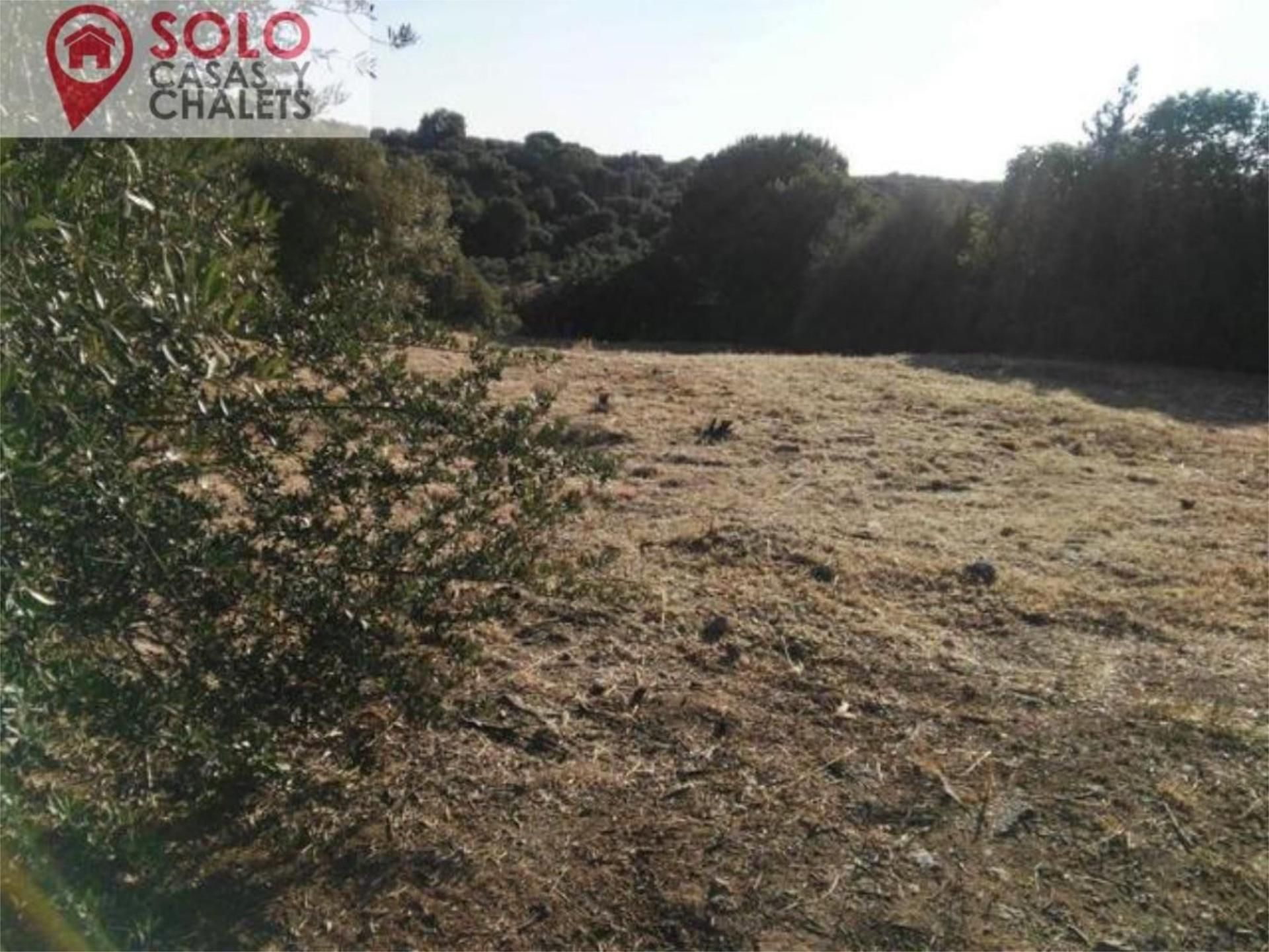 Constructible Land for sale in Almodóvar del Río
