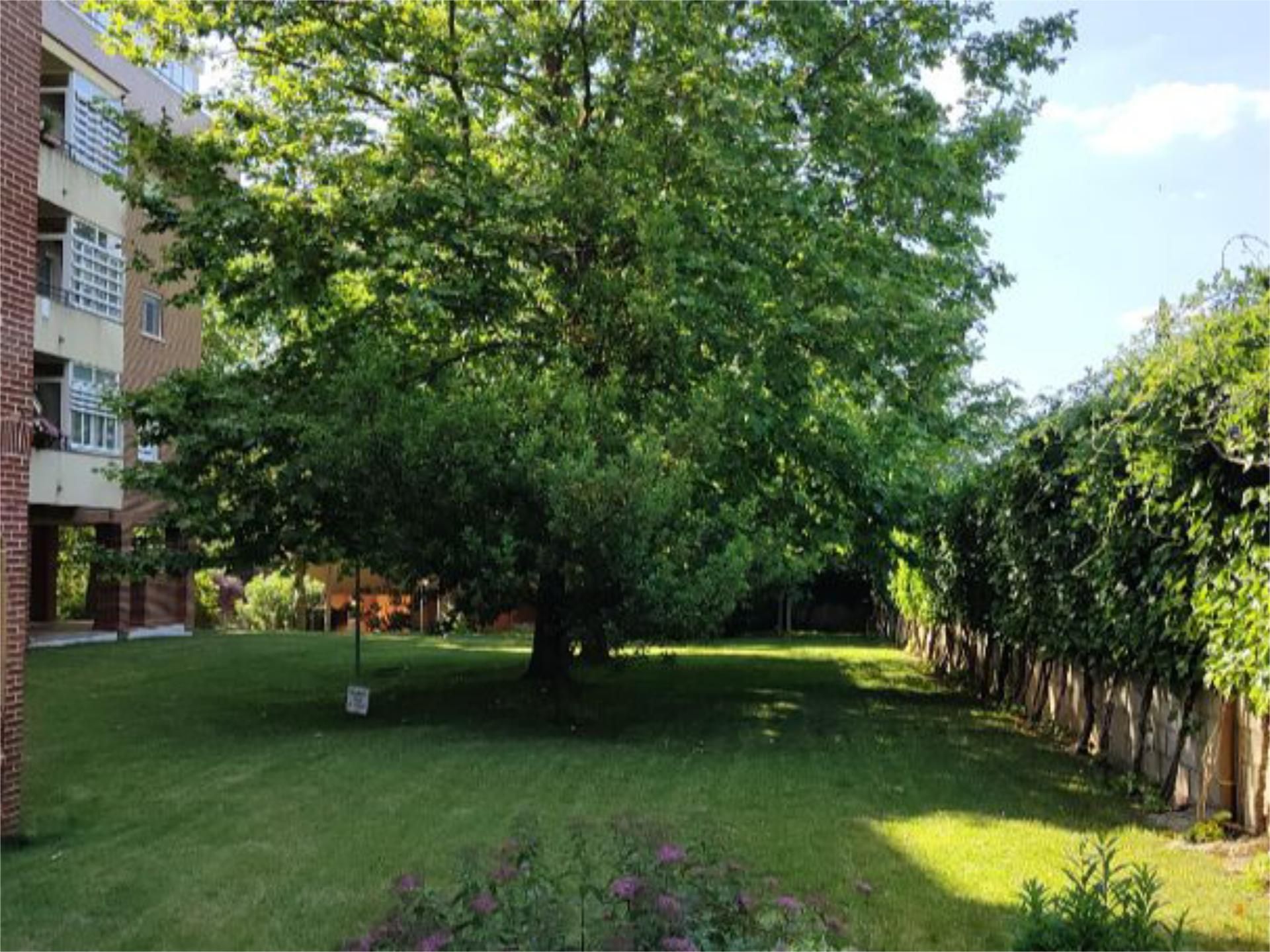 Pis en venda en Rivas-Vaciamadrid amb Aire condicionat, Calefacció i Jardí privat