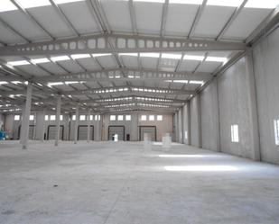 Exterior view of Industrial buildings for sale in Aizarnazabal