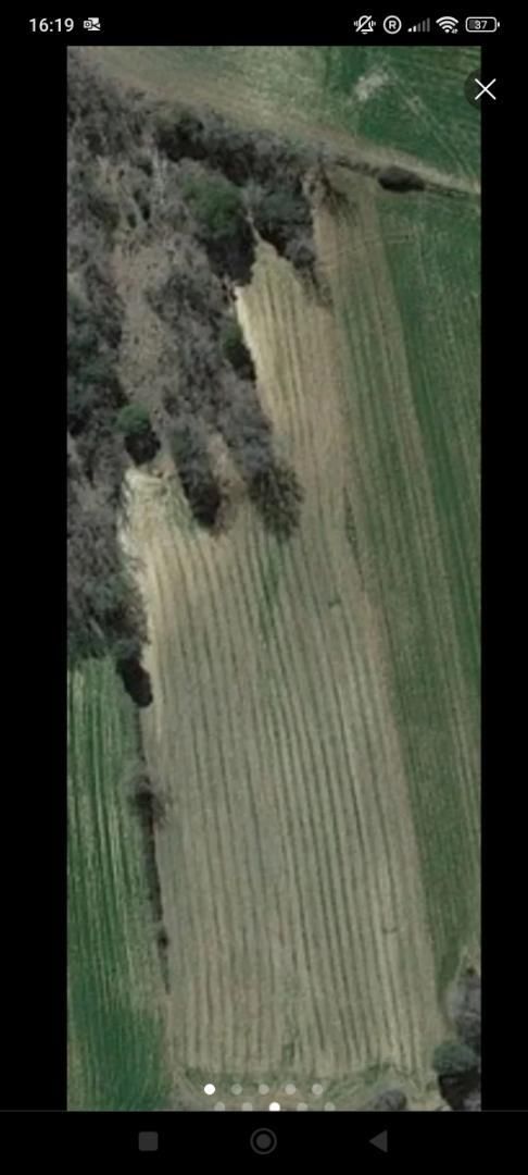 Non-constructible Land for sale in Sacedón