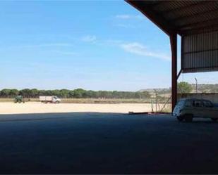 Parking of Industrial buildings to rent in Pedrajas de San Esteban