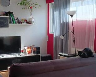 Sala d'estar de Pis en venda en  Madrid Capital