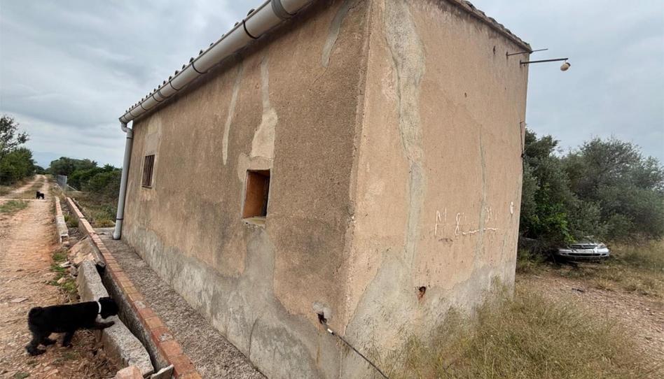 Terreno en venta en Camí de L'alcora, 2, Les Boqueres - Santa Quiteria, Almazora / Almassora - imagen 1 Foto 1 de Terreno en venta en Camí de L'alcora, 2, Les Boqueres - Santa Quiteria, Almazora / Almassora