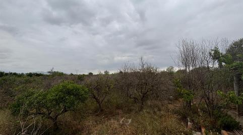 Terreno en venta en Camí de L'alcora, 2, Les Boqueres - Santa Quiteria, Almazora / Almassora - imagen 4 Foto 4 de Terreno en venta en Camí de L'alcora, 2, Les Boqueres - Santa Quiteria, Almazora / Almassora