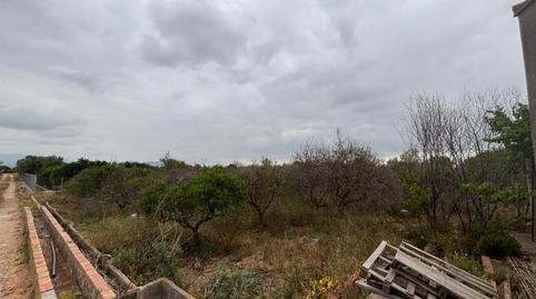 Terreno en venta en Camí de L'alcora, 2, Les Boqueres - Santa Quiteria, Almazora / Almassora - imagen 5 Foto 5 de Terreno en venta en Camí de L'alcora, 2, Les Boqueres - Santa Quiteria, Almazora / Almassora