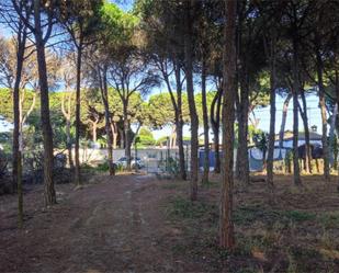 Garden of Country house for sale in Chiclana de la Frontera
