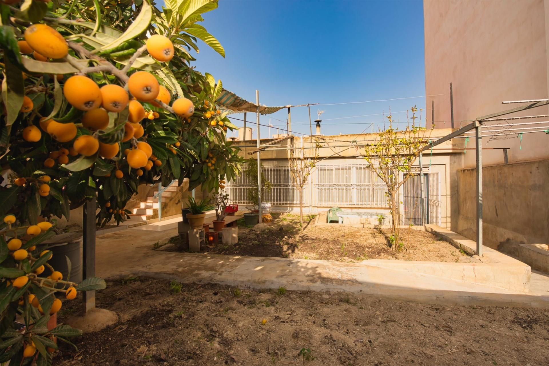 Garden of Planta baja for sale in Benijófar  with Air Conditioner, Private garden and Terrace