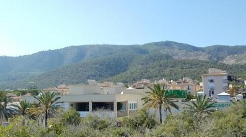 Study to rent in Carrer Jardiel Poncela, 7, Palmanova, Illes Balears - image 2 Photo 2 of Study to rent in Carrer Jardiel Poncela, 7, Palmanova, Illes Balears