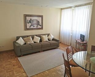 Sala d'estar de Pis de lloguer en  Pamplona / Iruña amb Balcó