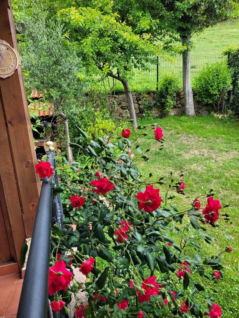 Garden of House or chalet for sale in Oviedo   with Heating, Private garden and Terrace