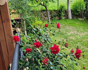 Jardí de Casa o xalet en venda en Oviedo  amb Terrassa i Balcó