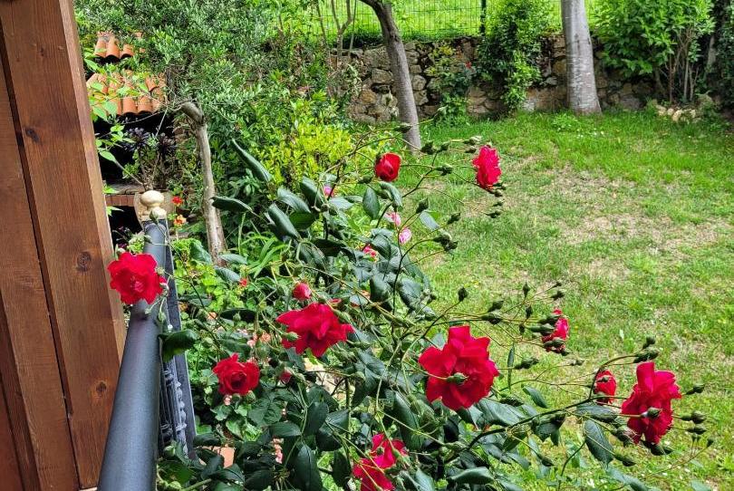 House or chalet for sale in Barrio Fitoria, 49, Parroquias Norte - Naranco, Asturias - image 1 Photo 1 of House or chalet for sale in Barrio Fitoria, 49, Parroquias Norte - Naranco, Asturias