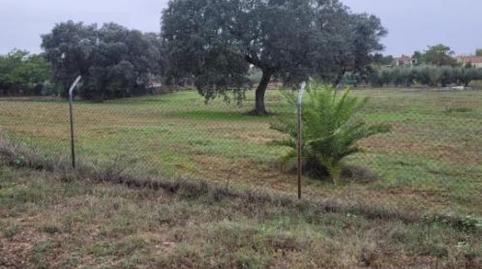 Photo 2 of Non-constructible Land for sale in Avenida Campomanes Badajoz, 23, Dehesilla de Calamón - Campomanes, Badajoz