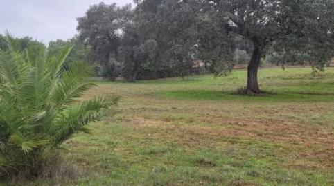 Photo 3 of Non-constructible Land for sale in Avenida Campomanes Badajoz, 23, Dehesilla de Calamón - Campomanes, Badajoz