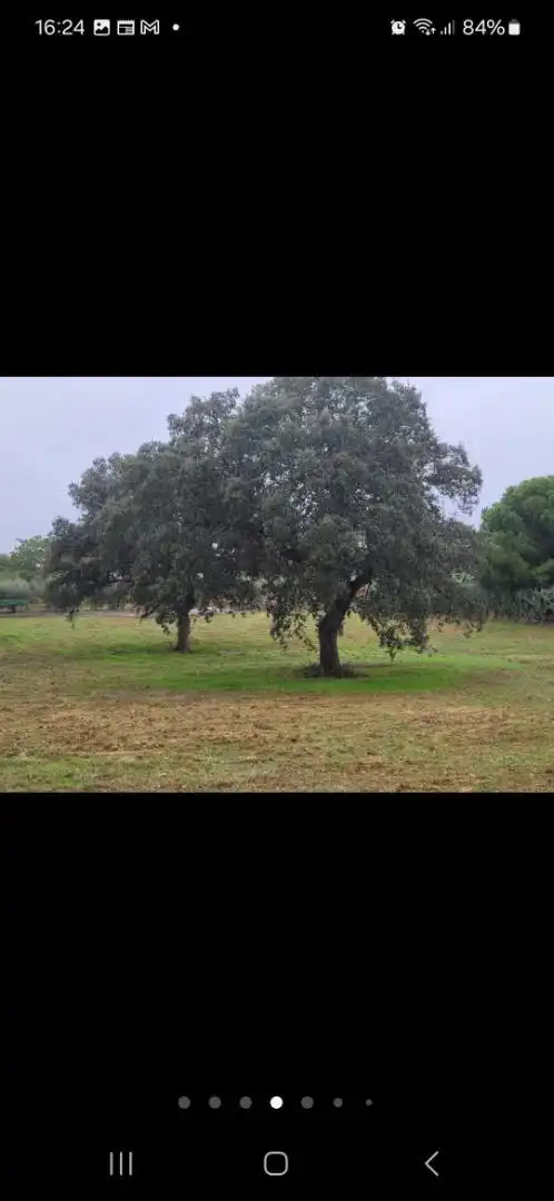 No Urbanizable en venta en Badajoz