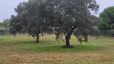 Photo 4 of Non-constructible Land for sale in Avenida Campomanes Badajoz, 23, Dehesilla de Calamón - Campomanes, Badajoz