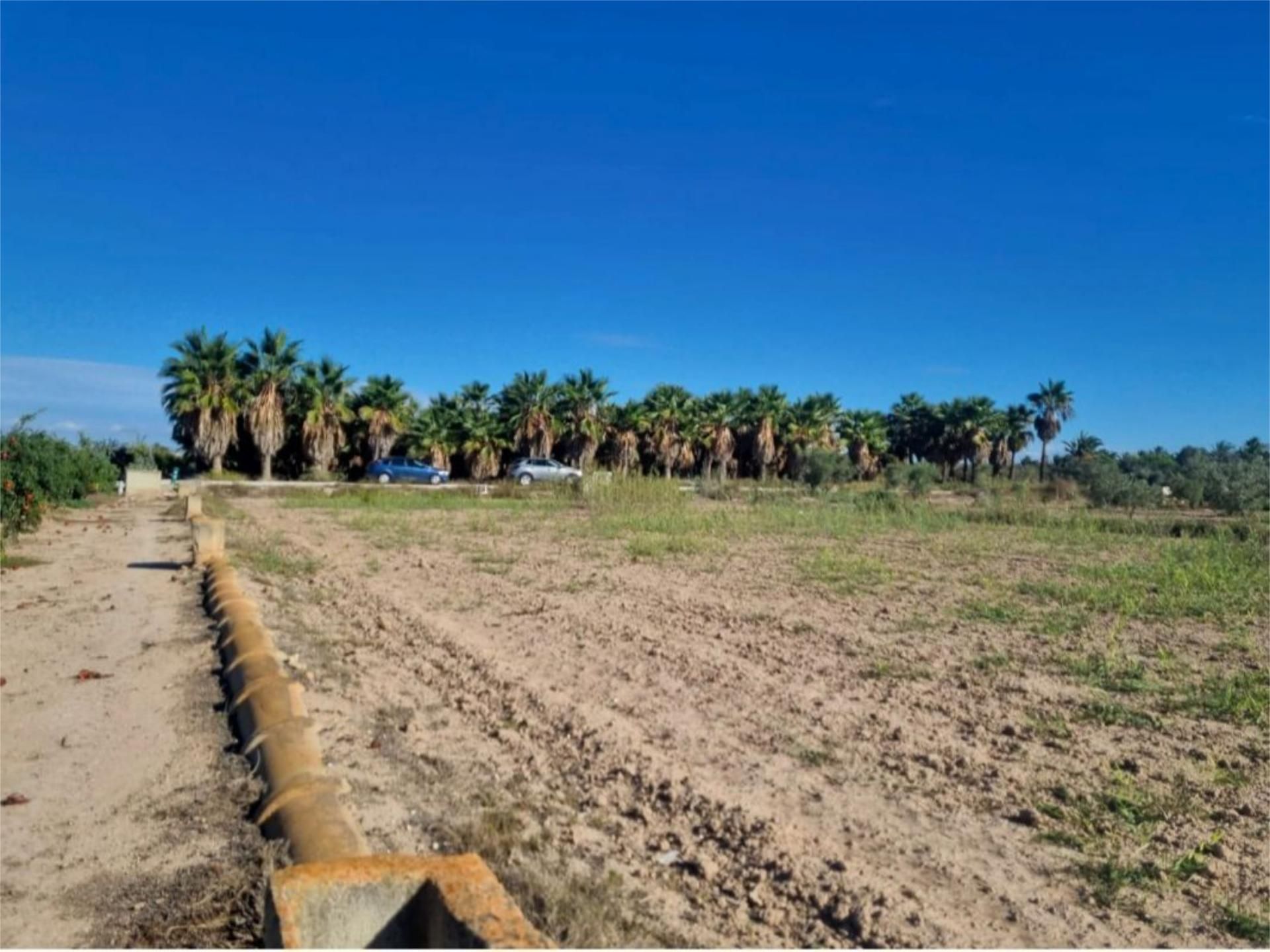 No Urbanitzable en venda en Elche / Elx