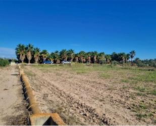 Non-constructible Land for sale in Elche / Elx