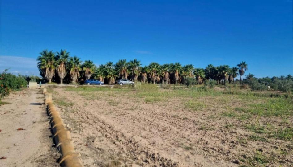 Photo 1 of Non-constructible Land for sale in Partida Hoya, 147, La Foia - Daimés - Asprella, Alicante