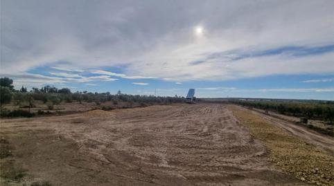 Photo 4 of Non-constructible Land for sale in Partida Hoya, 147, La Foia - Daimés - Asprella, Alicante