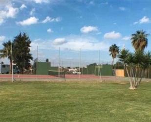 Vista exterior de Apartament de lloguer en Chiclana de la Frontera amb Terrassa, Piscina i Moblat
