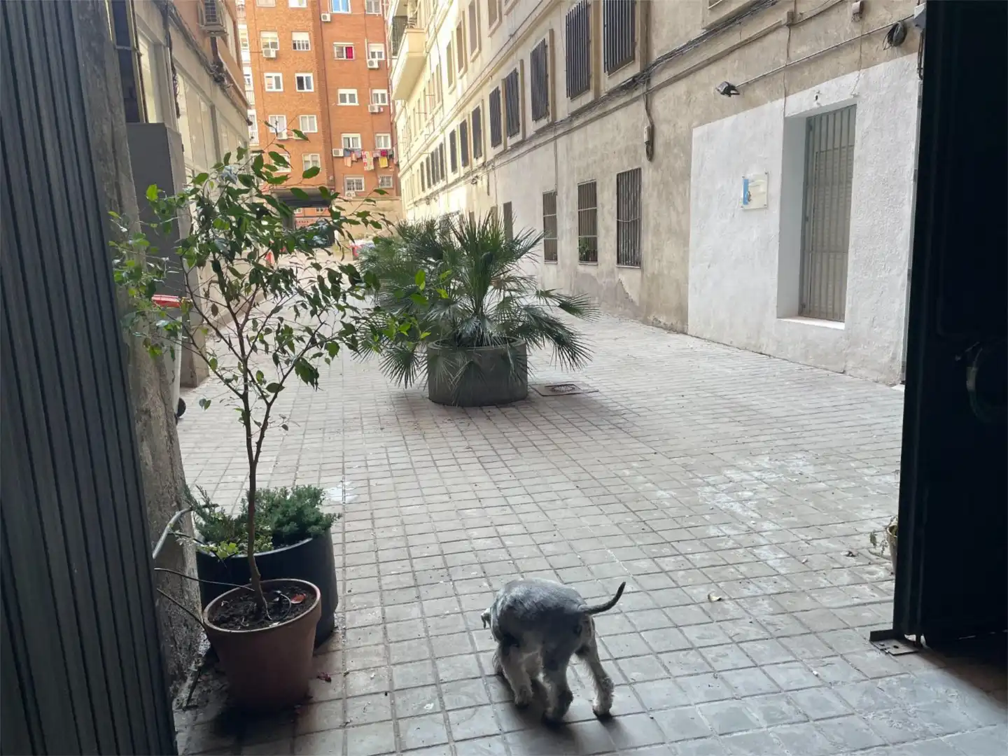 Außenansicht von Büro zur Miete in Madrid
