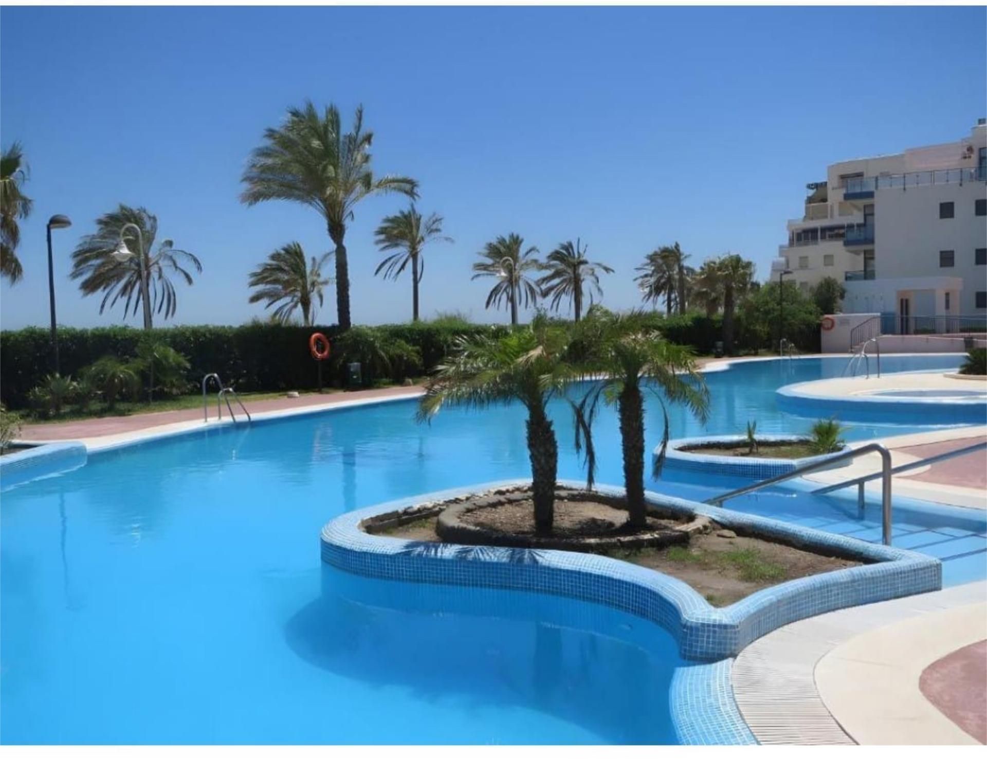 Swimming pool of Apartment to rent in Gualchos