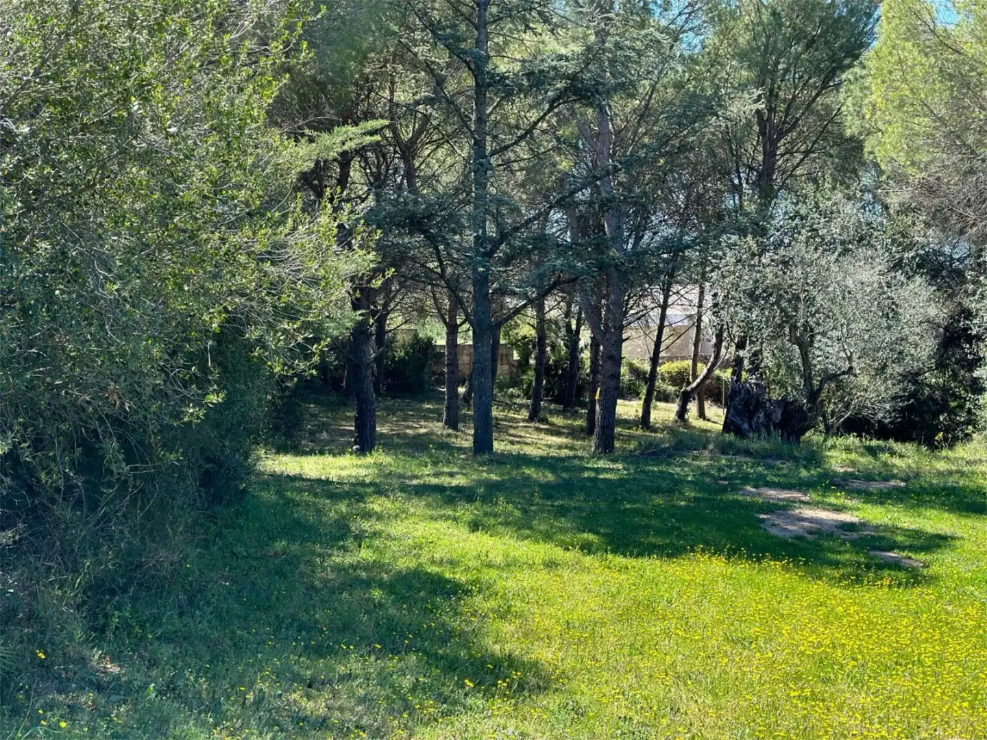 Casa o xalet en venda a Carrer de Les Eres, 1, Saus, Camallera i Llampaies Casa o xalet en venda en Saus, Camallera i Llampaies amb Terrassa, Piscina i Balcó