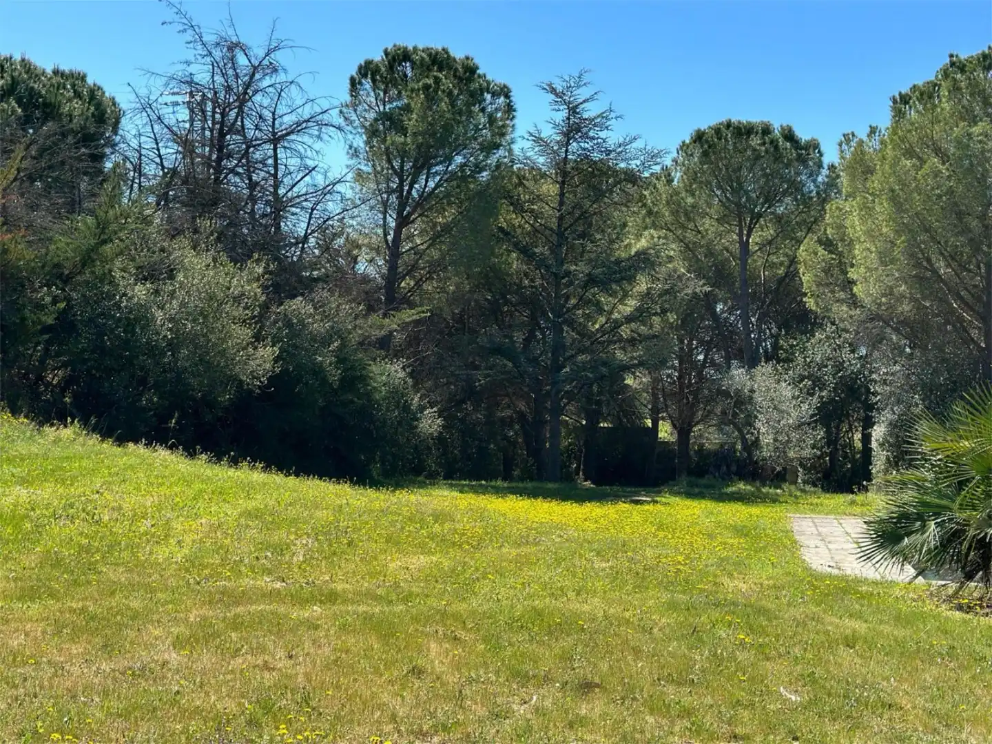 Casa o xalet en venda a Carrer de Les Eres, 1, Saus, Camallera i Llampaies Casa o xalet en venda en Saus, Camallera i Llampaies amb Terrassa, Piscina i Balcó