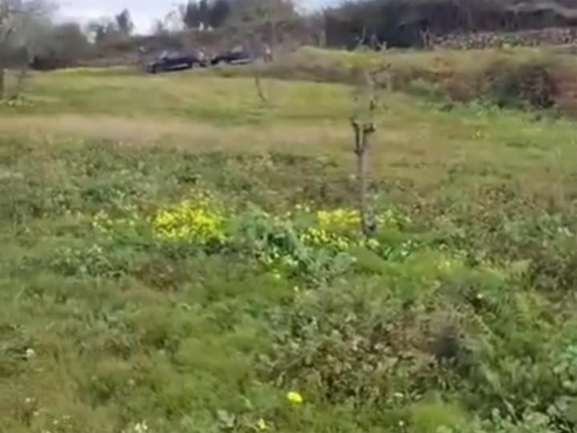 No Urbanitzable en venda en El Sauzal