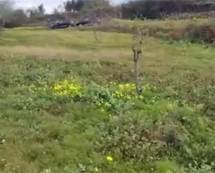 No Urbanitzable en venda en El Sauzal