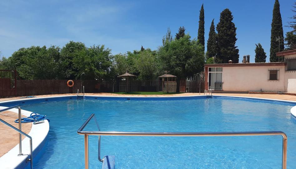 Foto 1 de Pis de lloguer a Urbanización el Puntal .avenida de Los Almendros, 2d, Padul, Granada