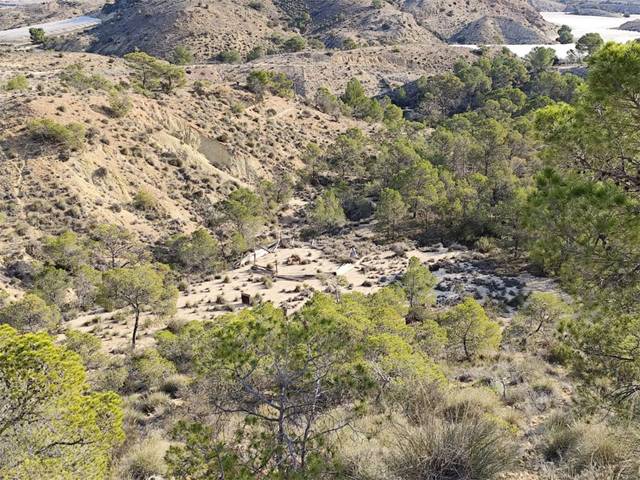 Terreno en Venta en Diseminado Alcoraya, 91A en La Alcoraya