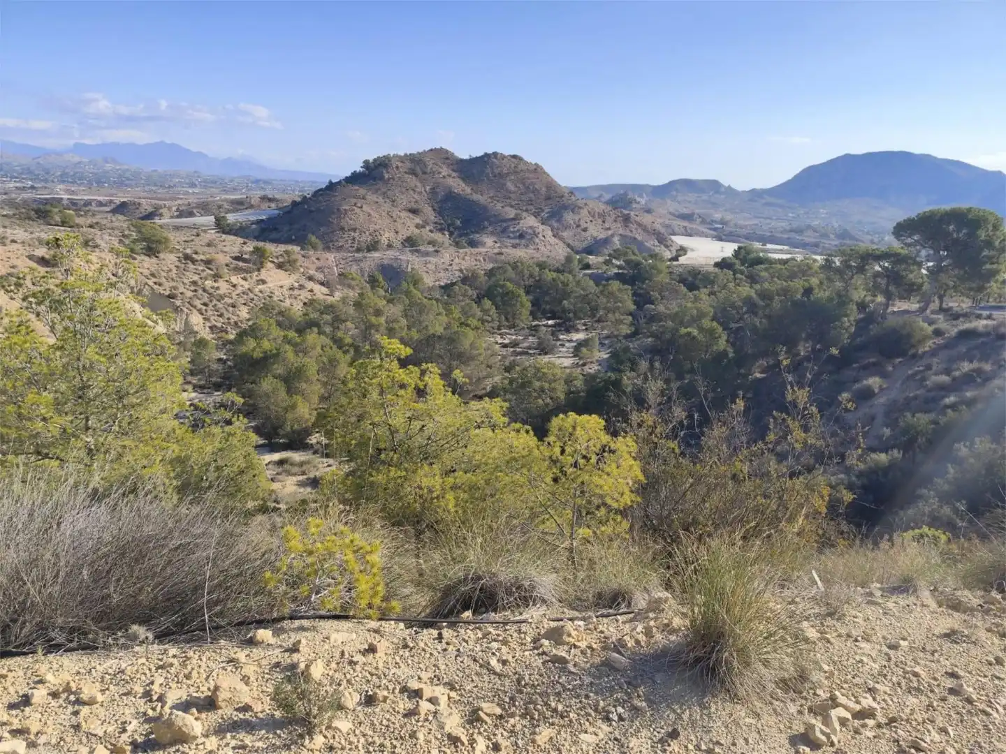 Terreno en venta en Diseminado Alcoraya, La Alcoraya Terreno en venta en Alicante / Alacant