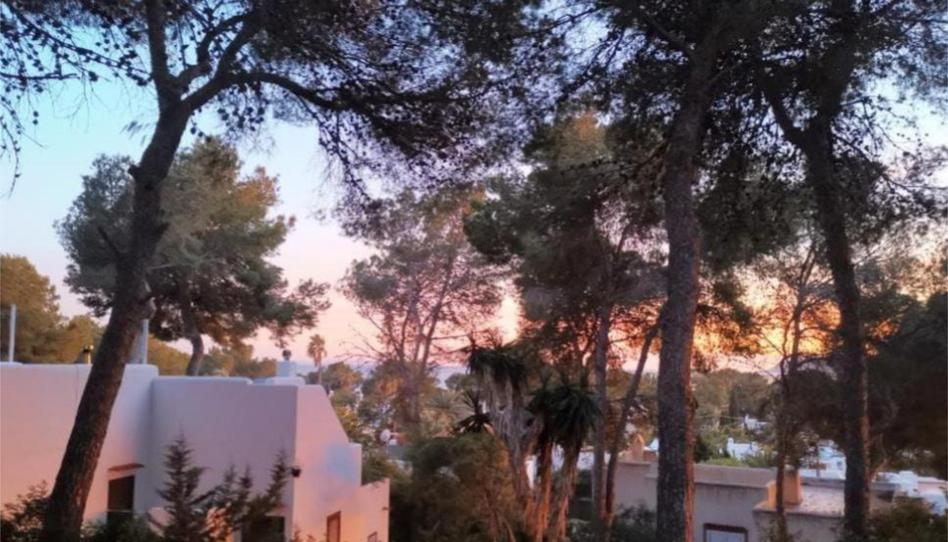 Photo 1 of House or chalet to rent in Avinguda de Cala Llenya, 23, Sant Carles, Illes Balears